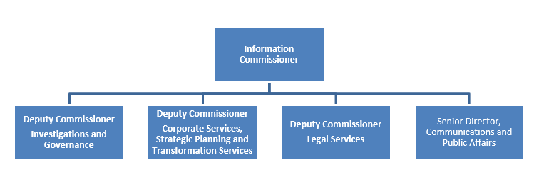 The senior management organizational structure