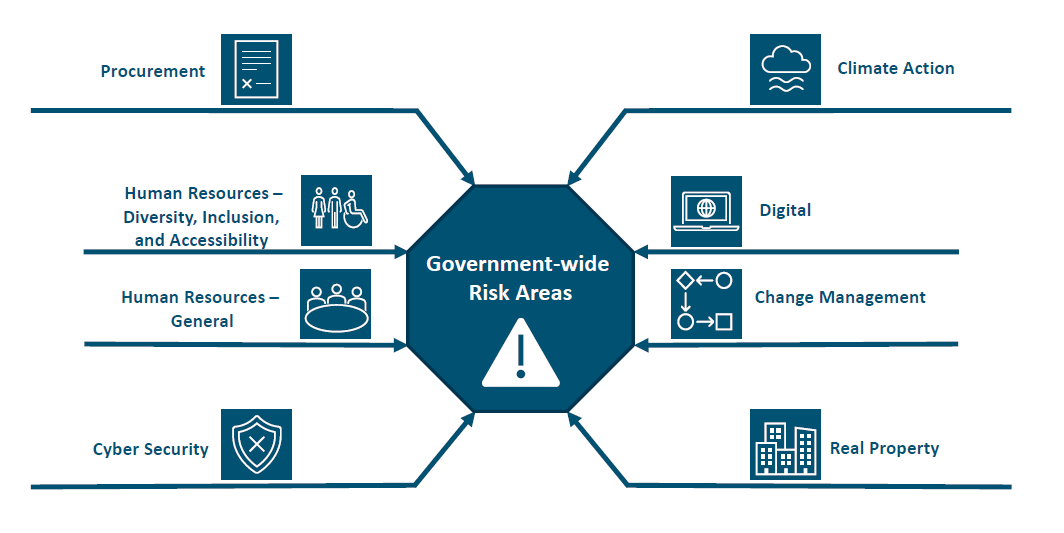 eight government-aide risk areas identified by the Office of the Comptroller General