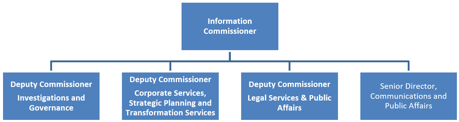 The senior management organizational structure