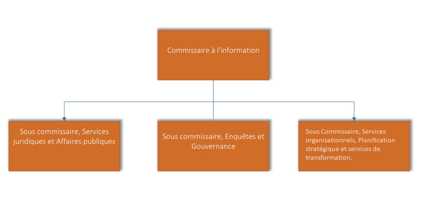 Organigramme