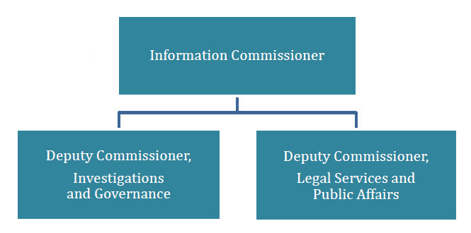 Organizational structure in 2017–2018