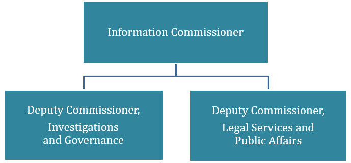 Organizational structure in 2017–2018